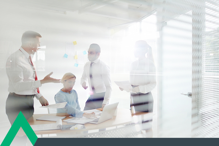 ARIA Consulting - Business Approach